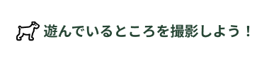 吹き出し